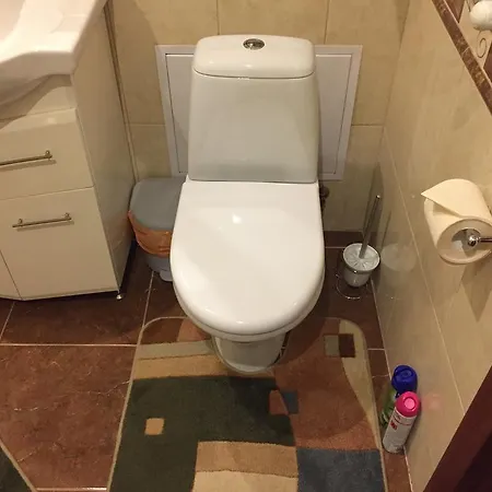 Apartment Miskevycha *