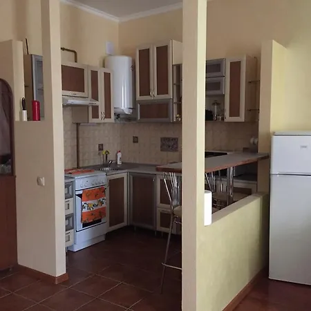 Miskevycha Apartment *