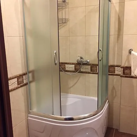 Apartment Miskevycha